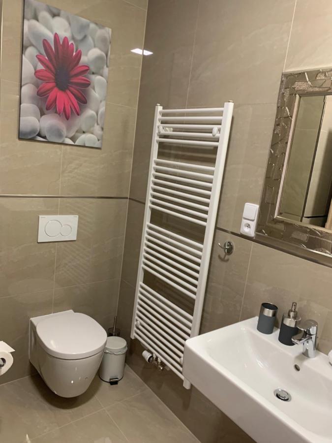 Apartment Rezidence - Javor & Wellness Zelezna Ruda Ngoại thất bức ảnh