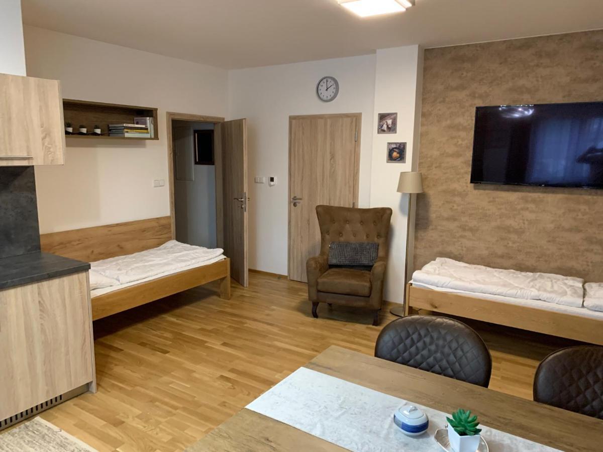 Apartment Rezidence - Javor & Wellness Zelezna Ruda Ngoại thất bức ảnh