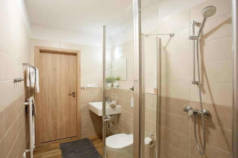 Apartment Rezidence - Javor & Wellness Zelezna Ruda Ngoại thất bức ảnh